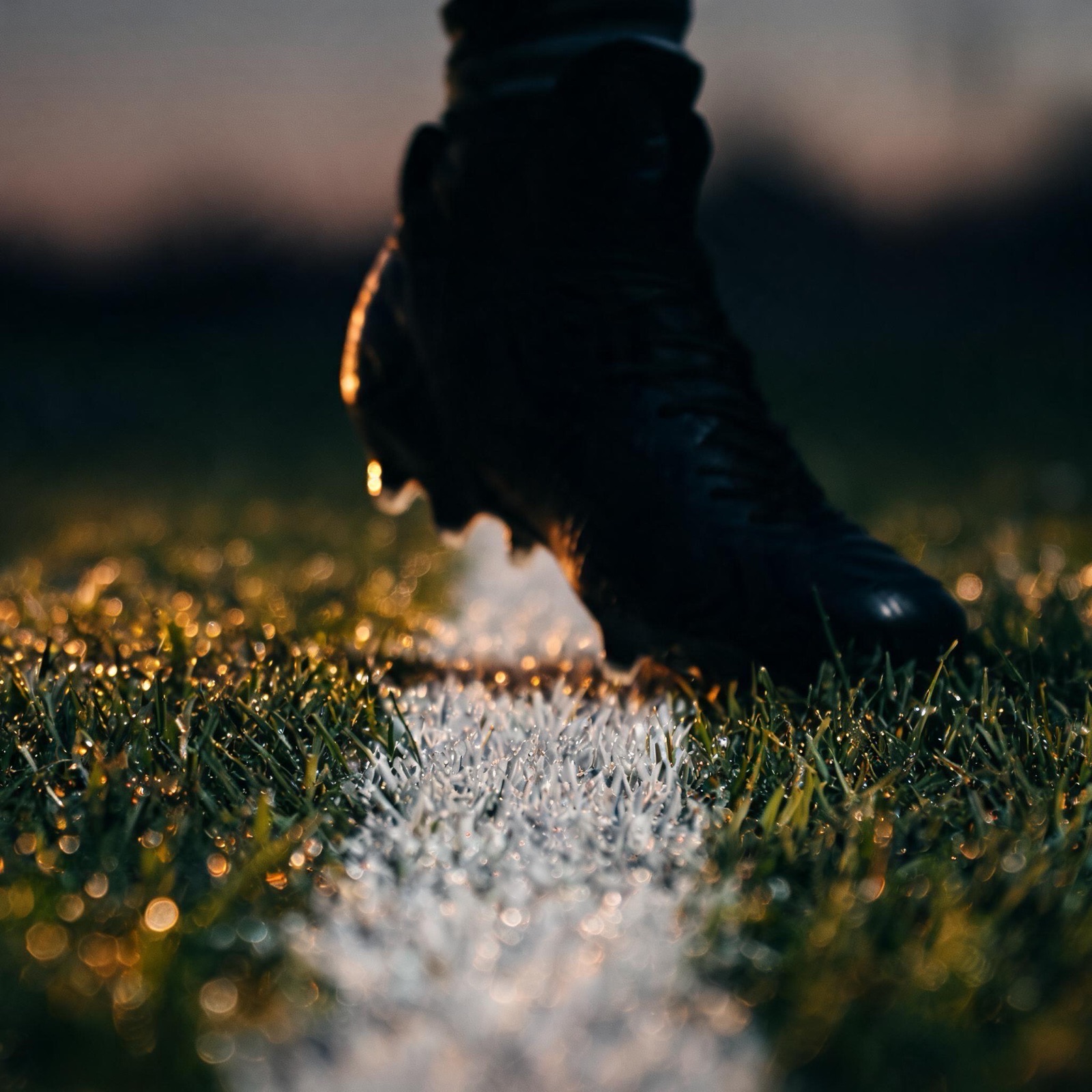 Cleats set behind a painted yard line